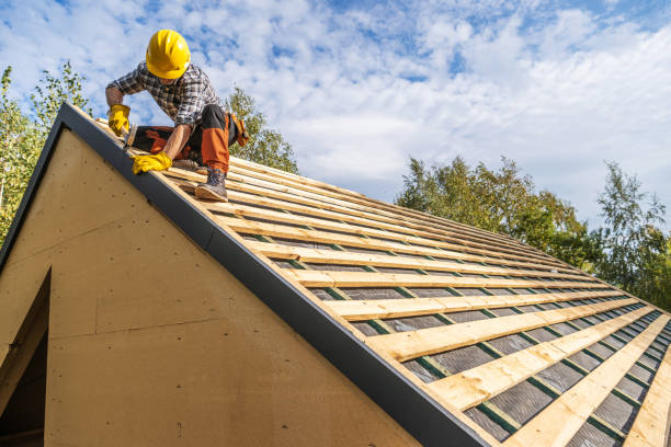 Best Gutter Installation and Roofing  in Lexington, TN