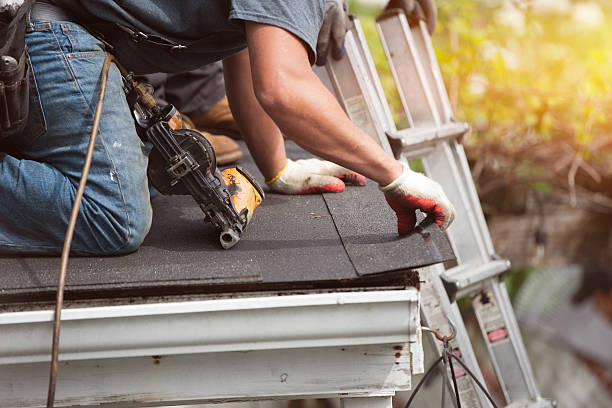 Best Roof Gutter Cleaning  in Lexington, TN