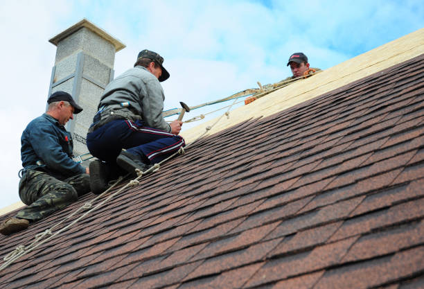 Best Metal Roofing Contractor  in Lexington, TN